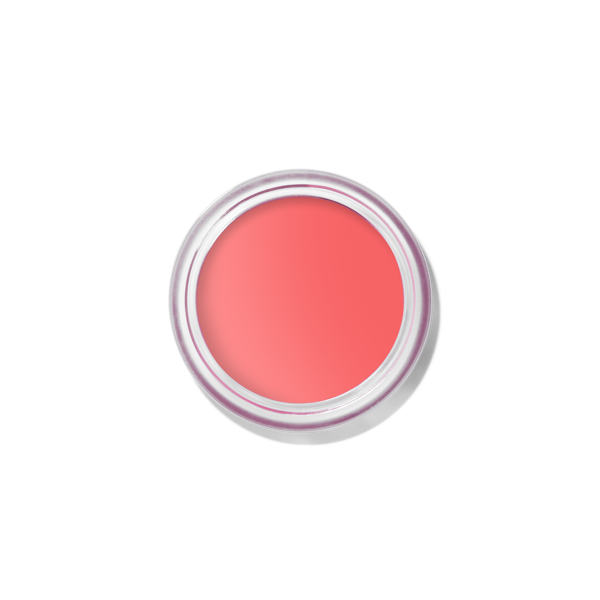 Pot Rouge Velvet Matte