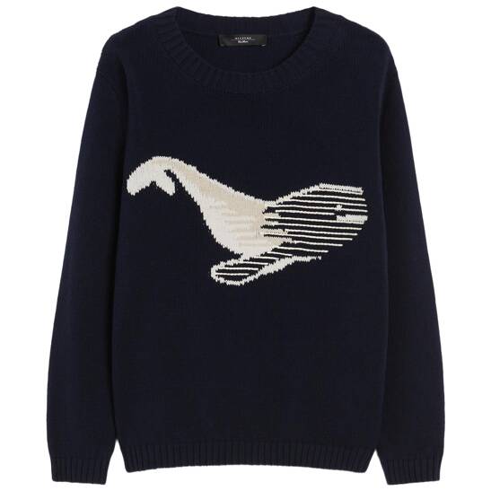 Strickpullover Nespola