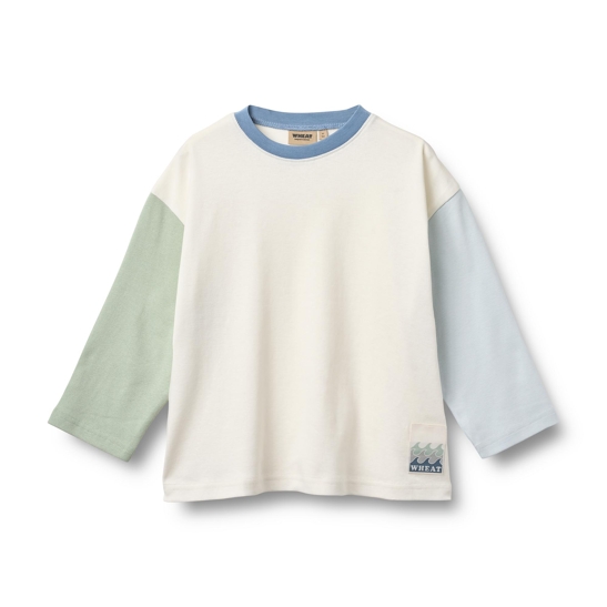 Langarmshirt mit Colour-Blocking