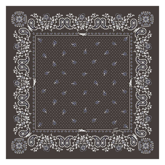 Seidenschal 50 French Bandana