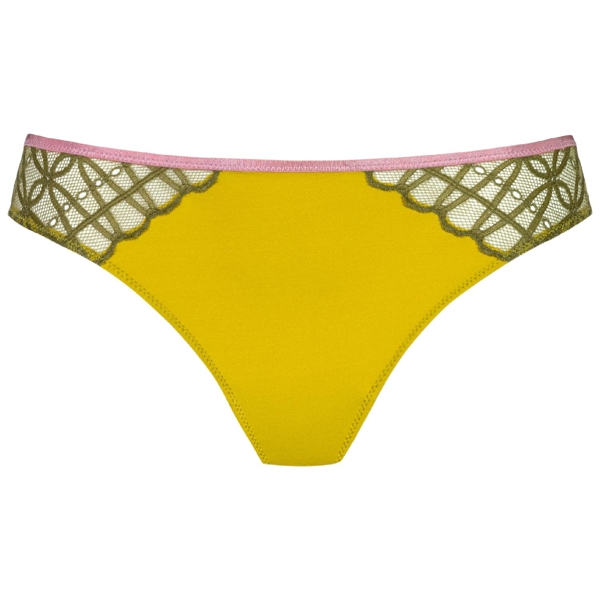 Brasil Poetry Temptation