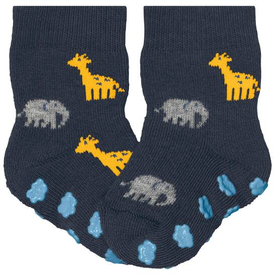 Falke summer animals babys