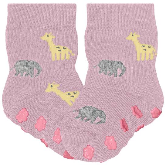Falke summer animals babys