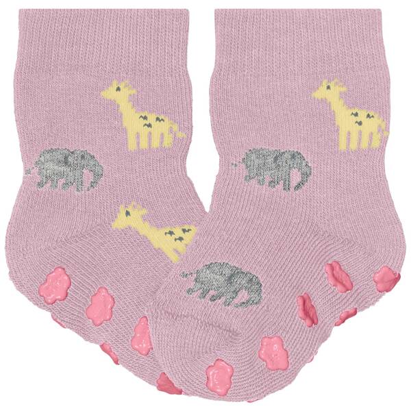 Falke summer animals babys
