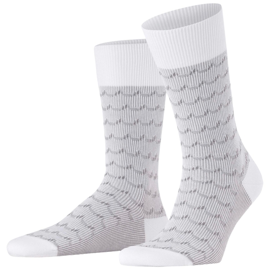 Falke sea rock so herren