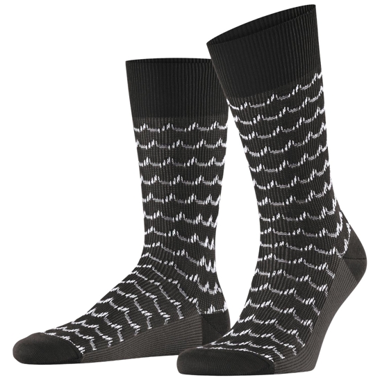 Falke sea rock so herren