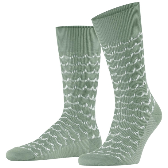 Falke sea rock so herren
