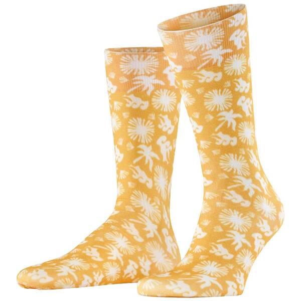 Burlington lagoon herren