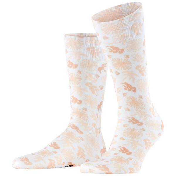 Burlington lagoon herren