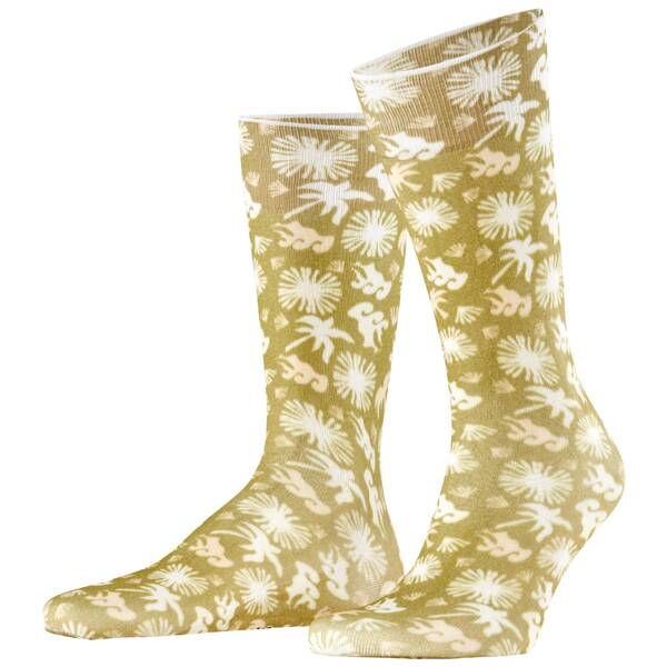 Burlington lagoon herren