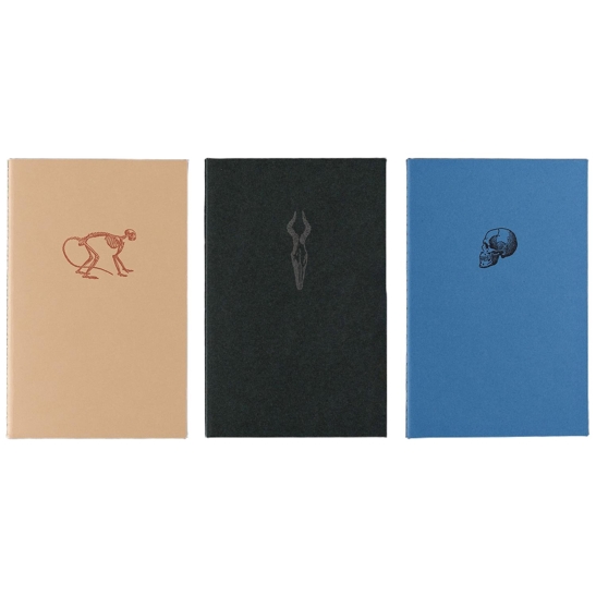 3 Soft Cover Notebooks