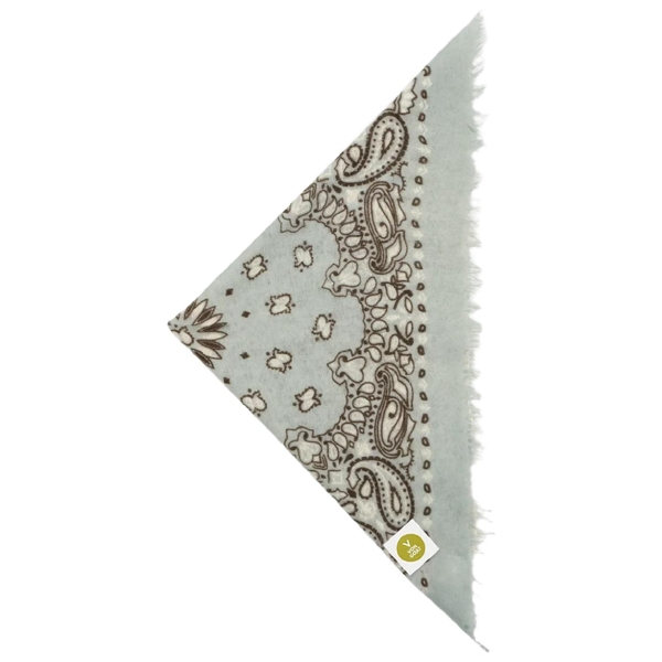 Bandana Calvin