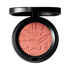 Skinfinish Colourstruck Blush