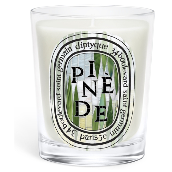 Pinède (Pinienwald) - Klassische Kerze